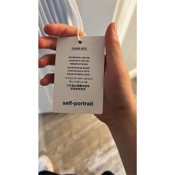 SELF-PORTRAIT Blue Chiffon Mini Dress Size 2 - Picture 9 of 10